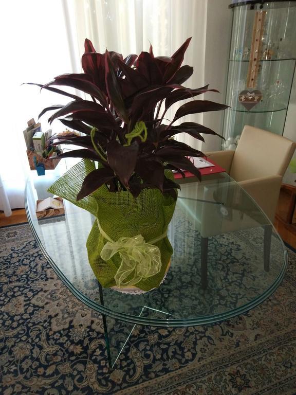 Marinella B&B Cornale Ngoại thất bức ảnh